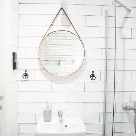 Lion - Silver ホームステイ クラクフ