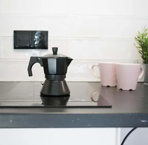 Lion - Silver 홈스테이