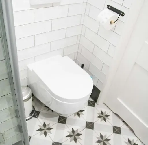 Lion - Silver 크라쿠프