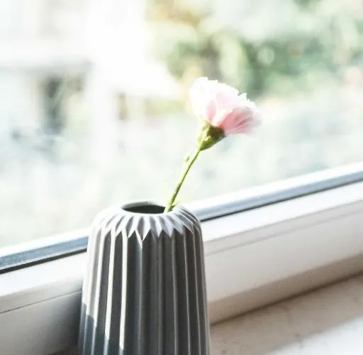 홈스테이 Lion - Silver