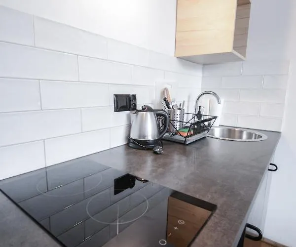 Lion - Silver 홈스테이 *