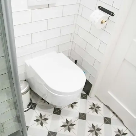 Lion - Silver Cracóvia