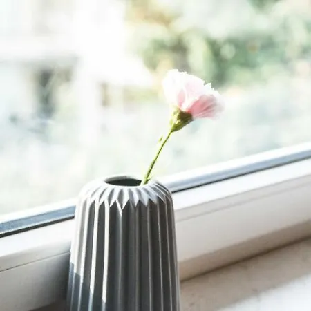 Quarto em Acomodações Particulares Lion - Silver