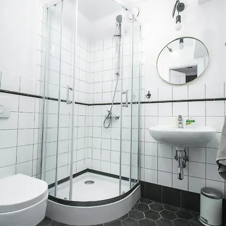 Lion - Silver Séjour chez l'habitant Cracovie