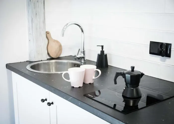 Pansiyon Lion - Silver *