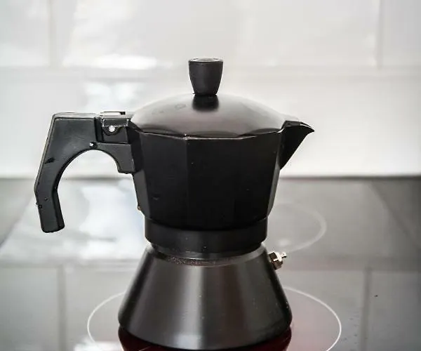 Lion - Silver Pansiyon Krakow