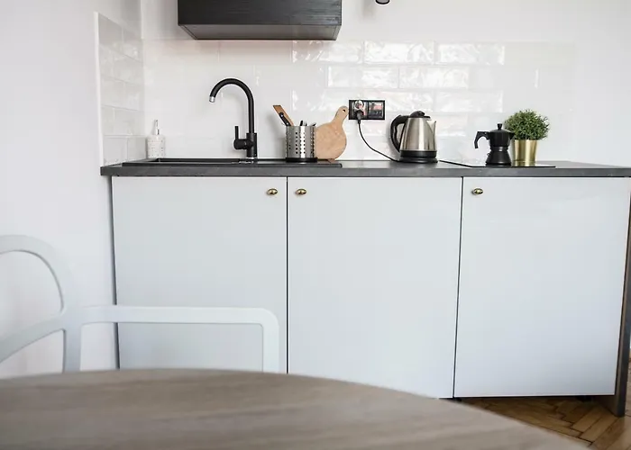 Lion - Silver * Cracovia