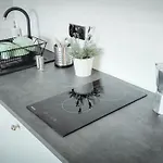 Lion - Silver Séjour chez l'habitant